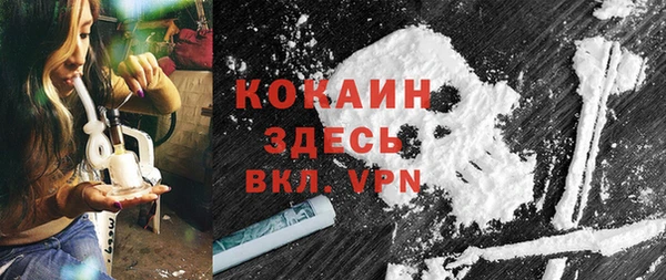 шишки Аркадак