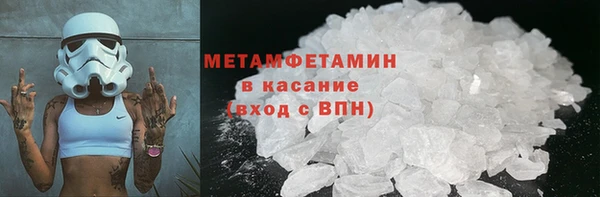 шишки Аркадак