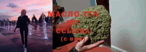 шишки Аркадак
